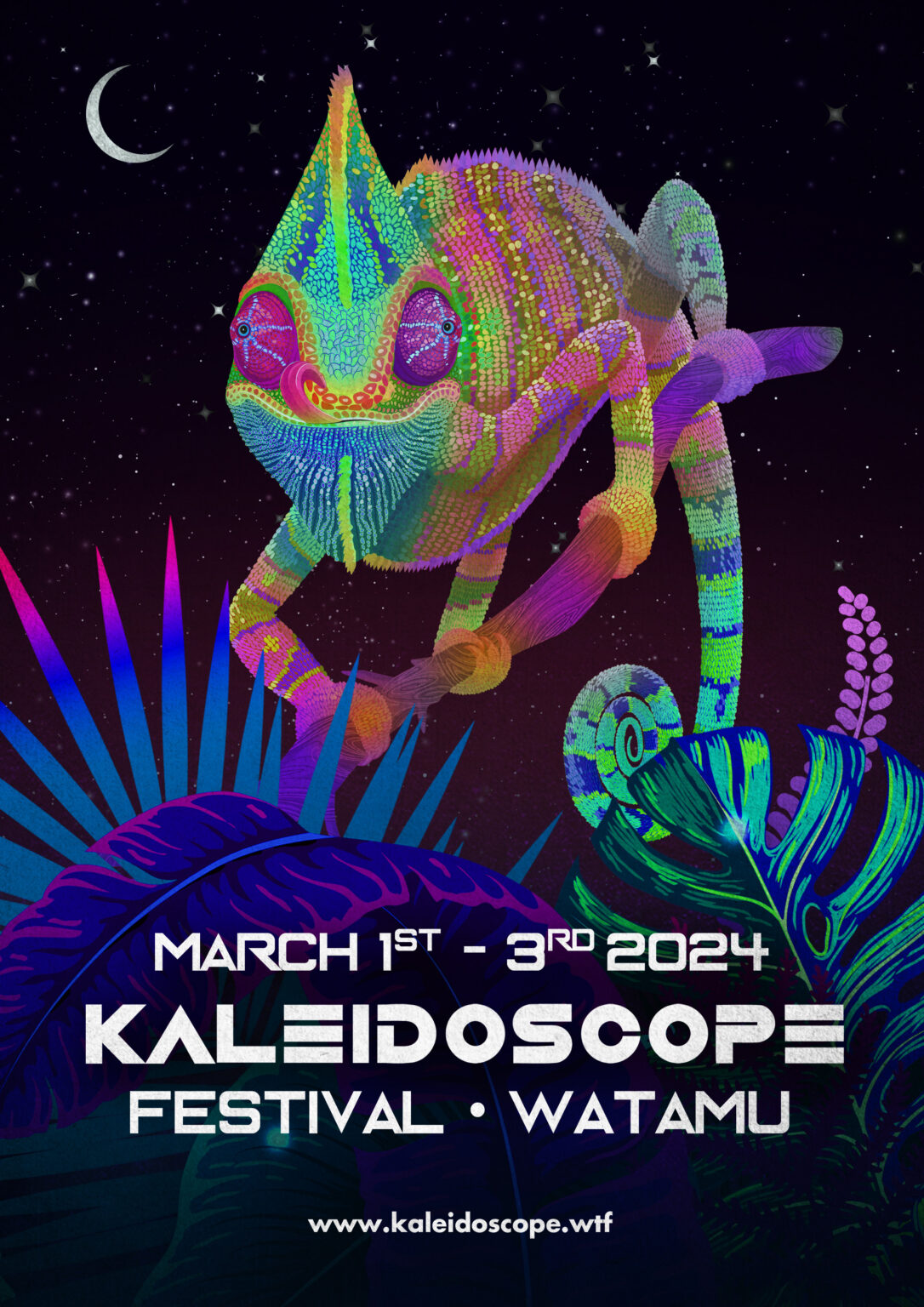 Early Bird Weekend Pass Kaleidoscope 2024 Temple Point   A4 Simple Kaleidoscope 24 1086x1536 