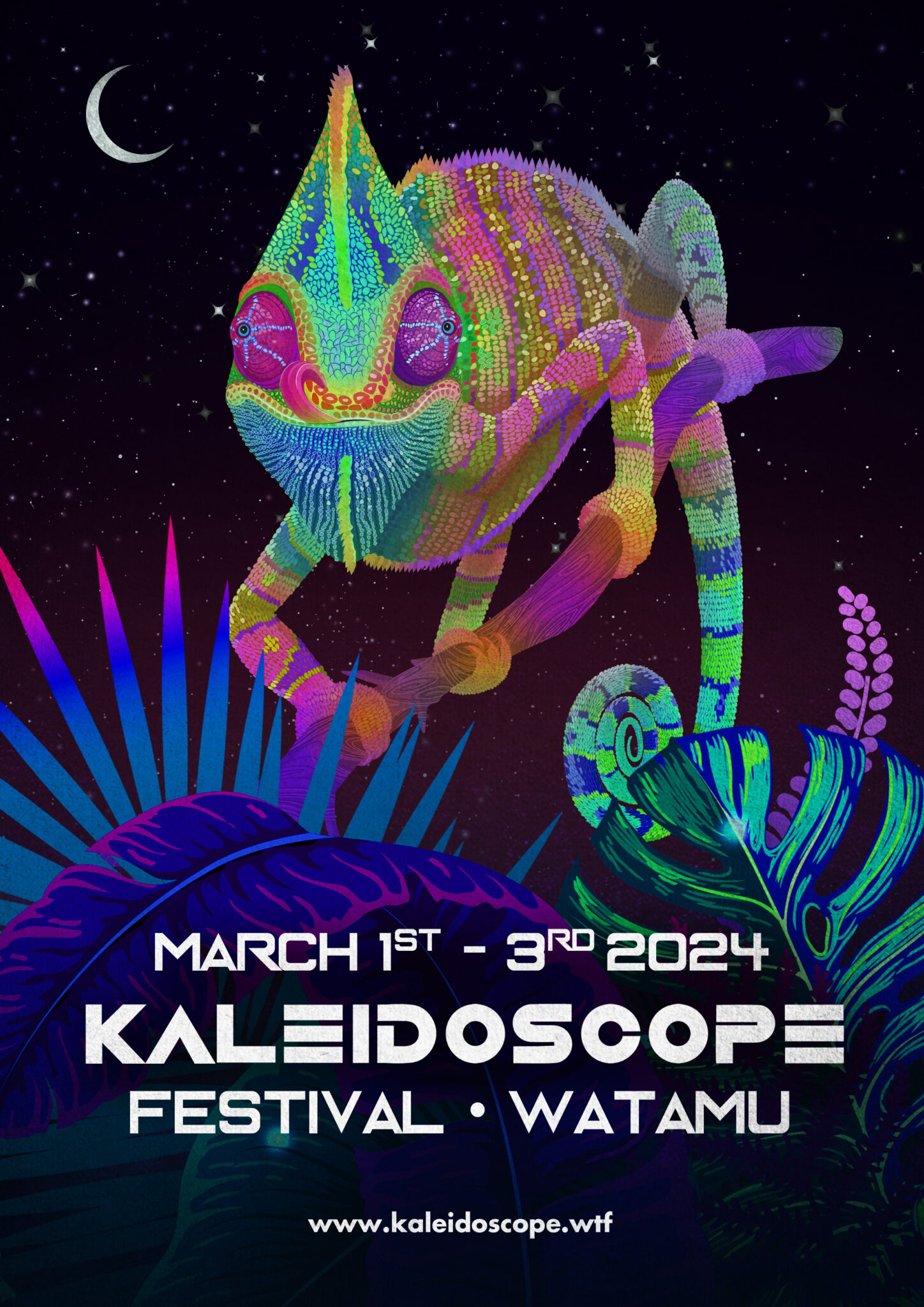 Early Bird Weekend Pass Kaleidoscope 2024 Temple Point   A4 Simple Kaleidoscope 24 1448x2048 